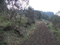 nte Ilice-20110120 021